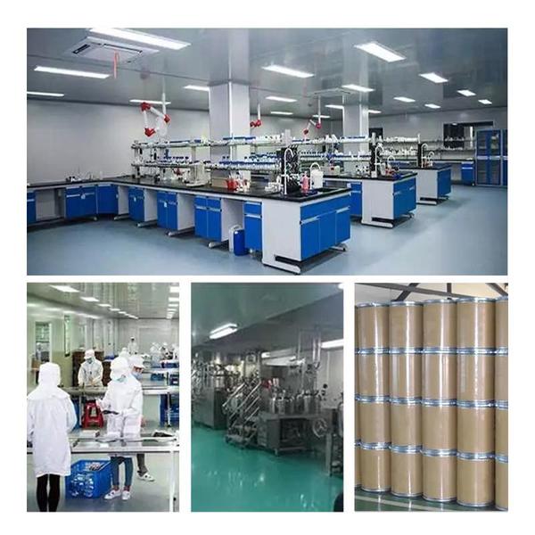 China Shaanxi Baisifu Biological Engineering Co., Ltd. Perfil de la compañía