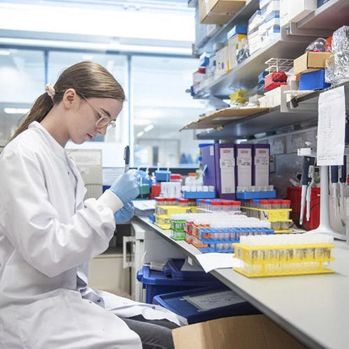 Shaanxi Baisifu Biological Engineering Co., Ltd. línea de producción de fábrica