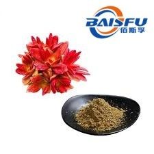 Shaanxi Baisfu herbal pure plant extract light Brown fine powder Rosavines HPLC/UV-VIS use in cosmetic