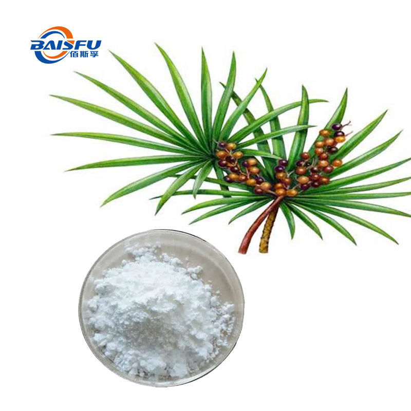 Baisfu Top Quality Saw Palmetto Extract Powder Saw Palmetto P.E. 98% Spec Saw Palmetto Fruit Extract with 25%-45% Fatty Acid and Solubility in Methanol  Saw Palmetto Extract CAS 84604-15-9 for food