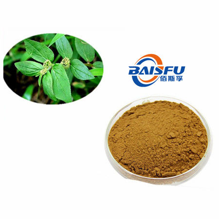 Baisfu Brown powder Best Small Centipeda Herb.P.E Hot Selling Specification 4:1 for beverages/food products and health supplements