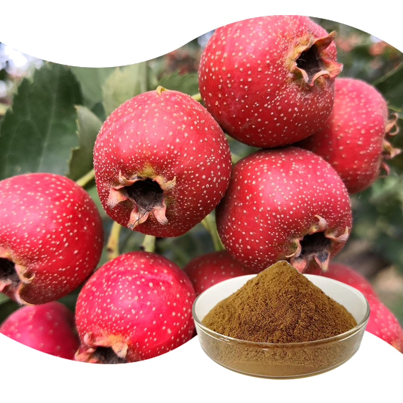 Baisfu high quality brown fine powder Natural organic concentrated Hawthorn Berry Extract powder for Flavor enhancers and medicine