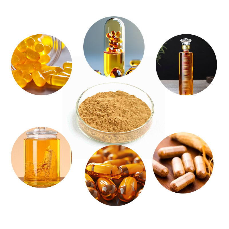 Baisfu Factory Sales Ginseng Extract Water-Soluble Light Yellow Fine Powder Ginsenosides for Health Supplements and Functional Foods