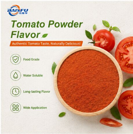 Premium High Quality Tomato Powder Flavor for Extruded Snack Seasoning Potato Chip Coating Popcorn Dusting and Savory Puff Sprinkle
